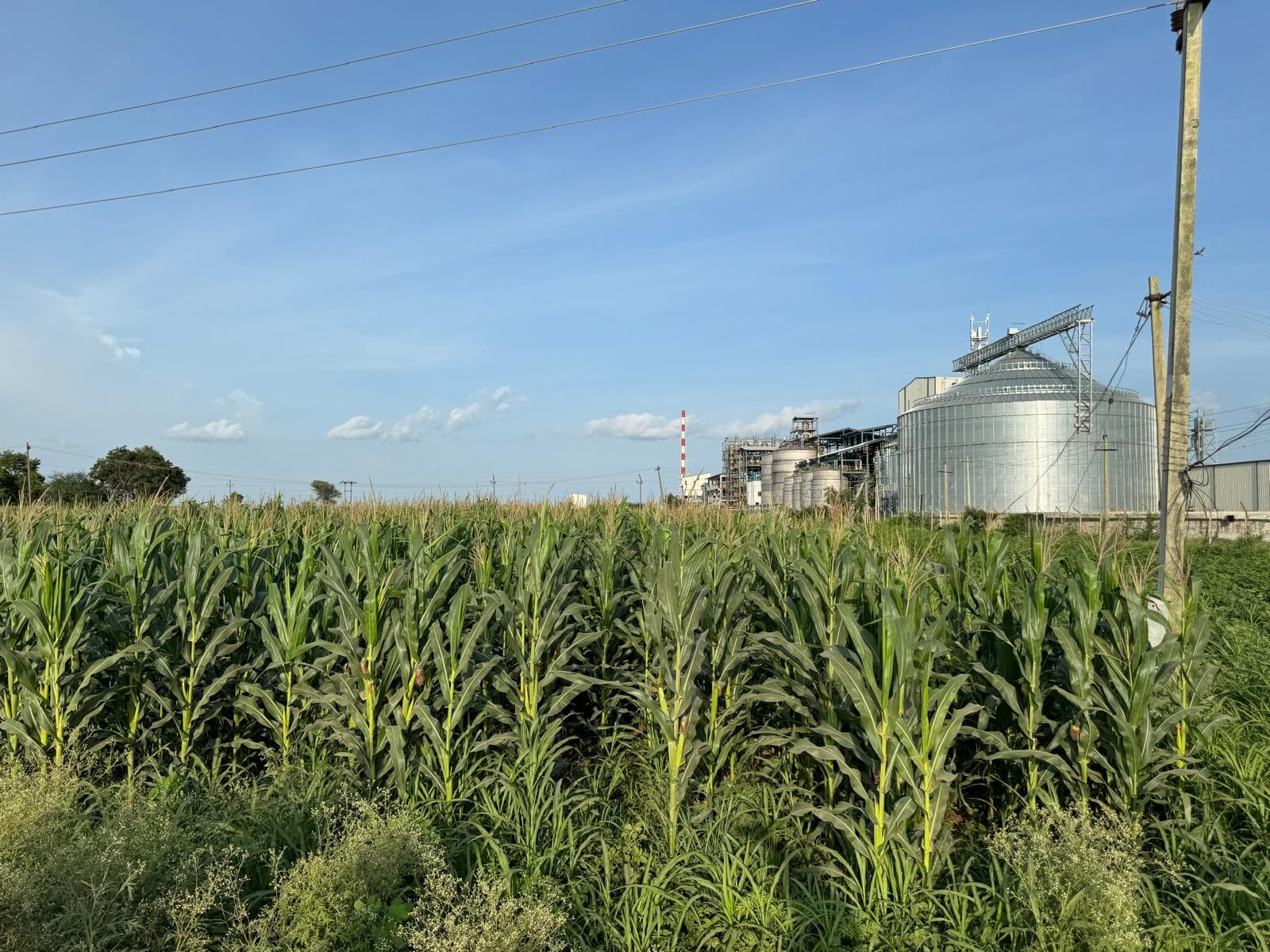 Ethanol Bio-Fuel Plant